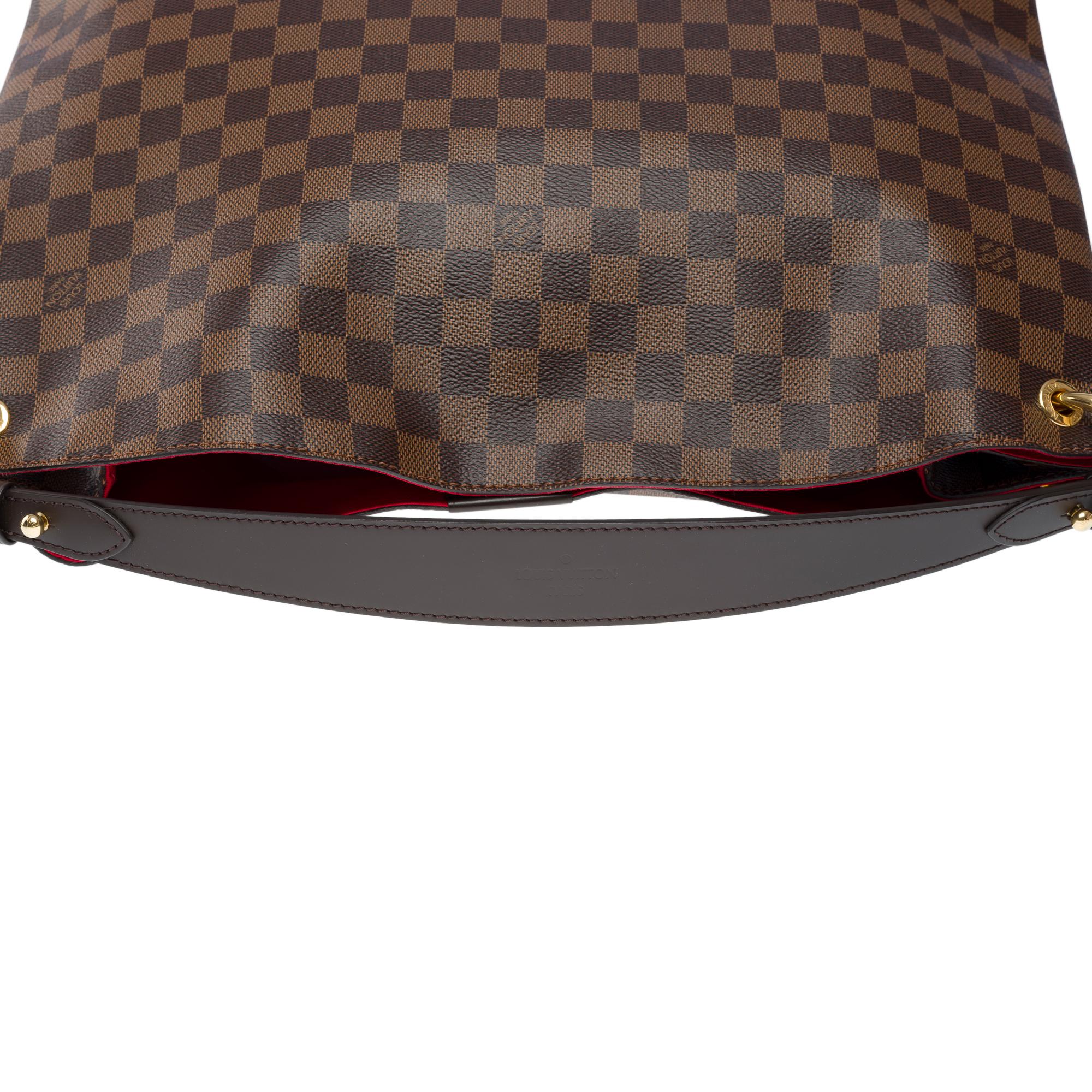 Louis Vuitton Graceful MM Hobo bag in brown Damier ebene canvas, GHW 6