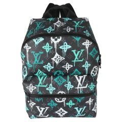 Louis Vuitton Discovery Backpack Monogram Taigarama PM at 1stDibs  louis  vuitton green backpack, green louis vuitton backpack, lv green backpack