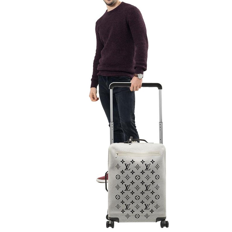 vuitton horizon soft luggage