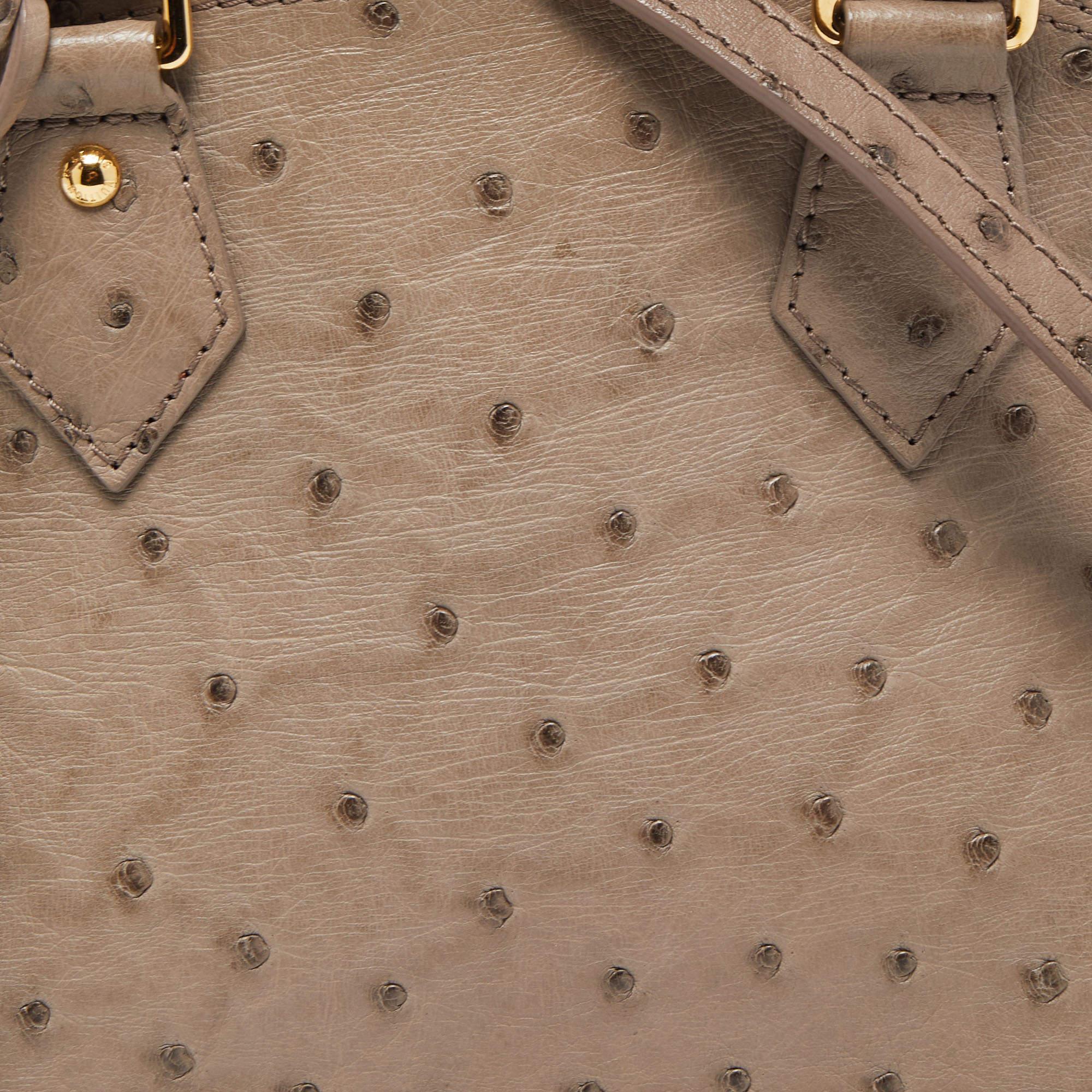 Louis Vuitton Grey Ostrich Alma BB Bag For Sale 5