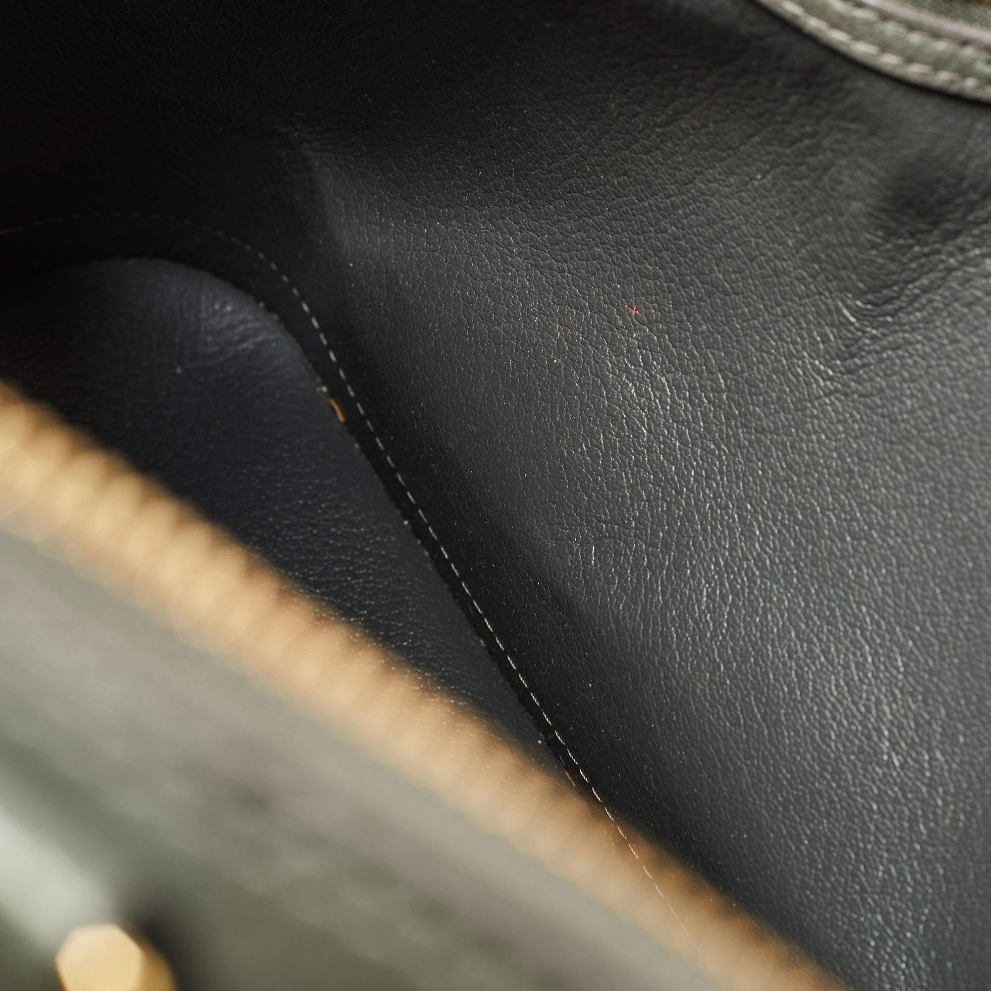 Women's Louis Vuitton Grey Ostrich Alma GM Bag