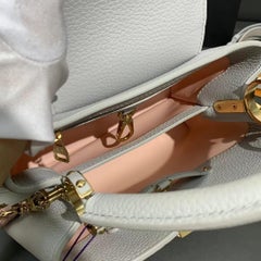Louis Vuitton Grey Taurillon Leather Capucines Bag