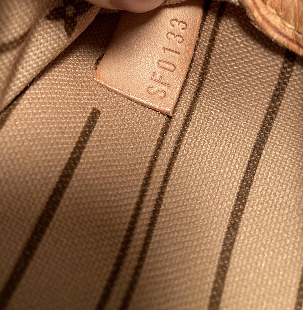 Louis Vuitton Handgemalte Marienkäfer Neverfull MM Tote 4