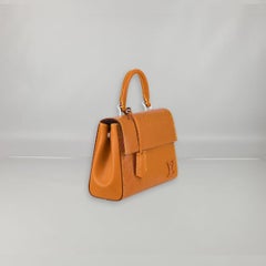 Louis Vuitton Honey Gold Cluny Mini bag