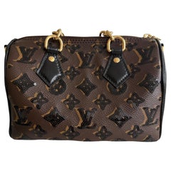 Louis Vuitton Iconic Speedy Sequin Bandouliere 20 M26314 New Size