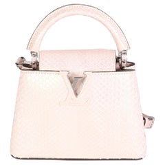 Louis Vuitton Snow White Taurillon and Python Mini Capucines For Sale at  1stDibs