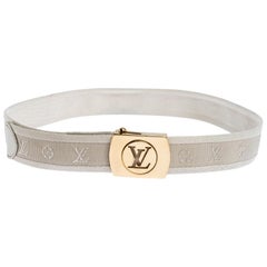Louis Vuitton Brown Alligator LV Gold Tone Logo Belt For Sale at 1stDibs