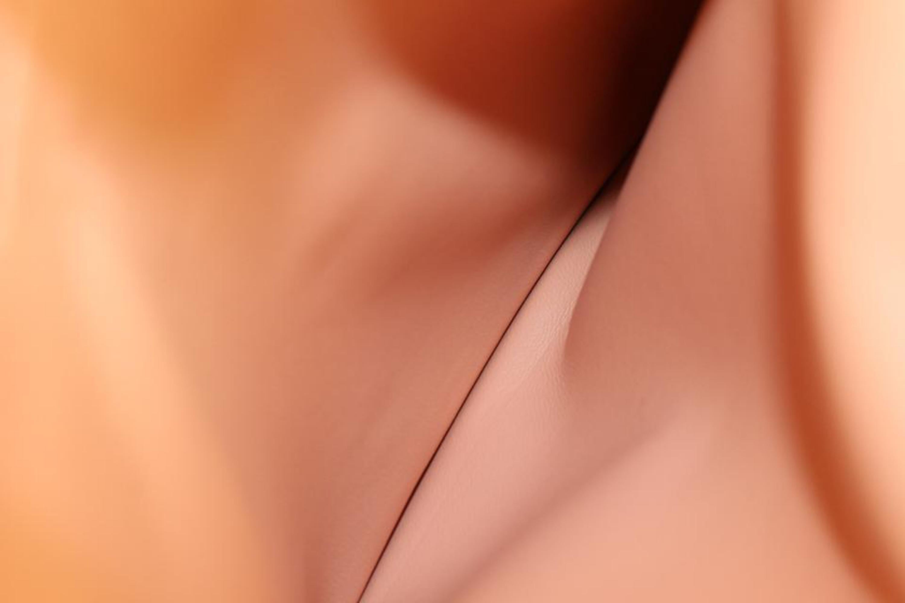 Louis Vuitton Jeff Koons Master Collection Fragonard Neverfull MM Tragetasche 54lk511s  im Zustand „Neu“ im Angebot in Dix hills, NY