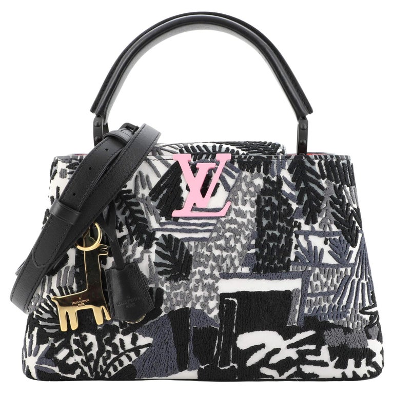 Louis Vuitton Jonas Wood ArtyCapucines Bag Printed Stitched Leather PM