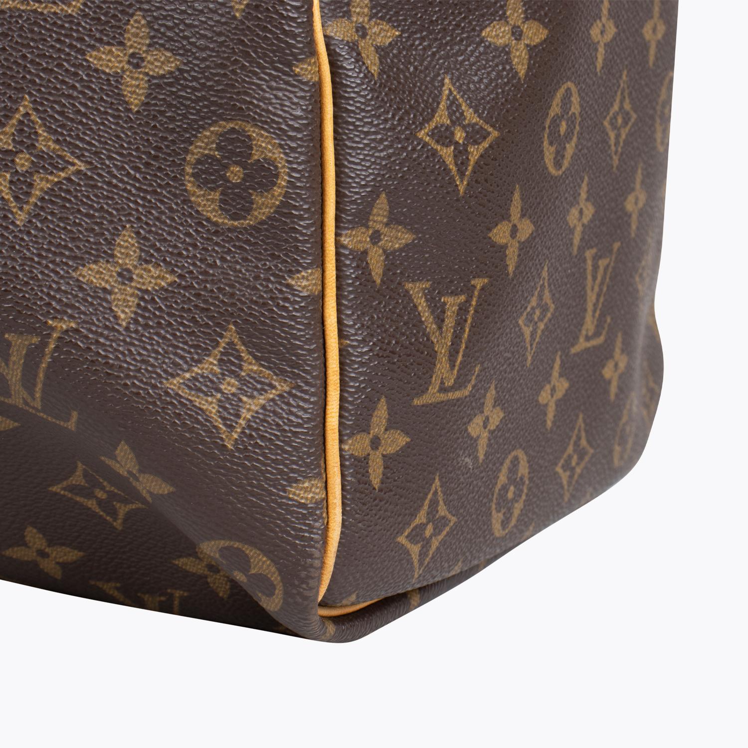 Louis Vuitton Keepall Monogram 50 2