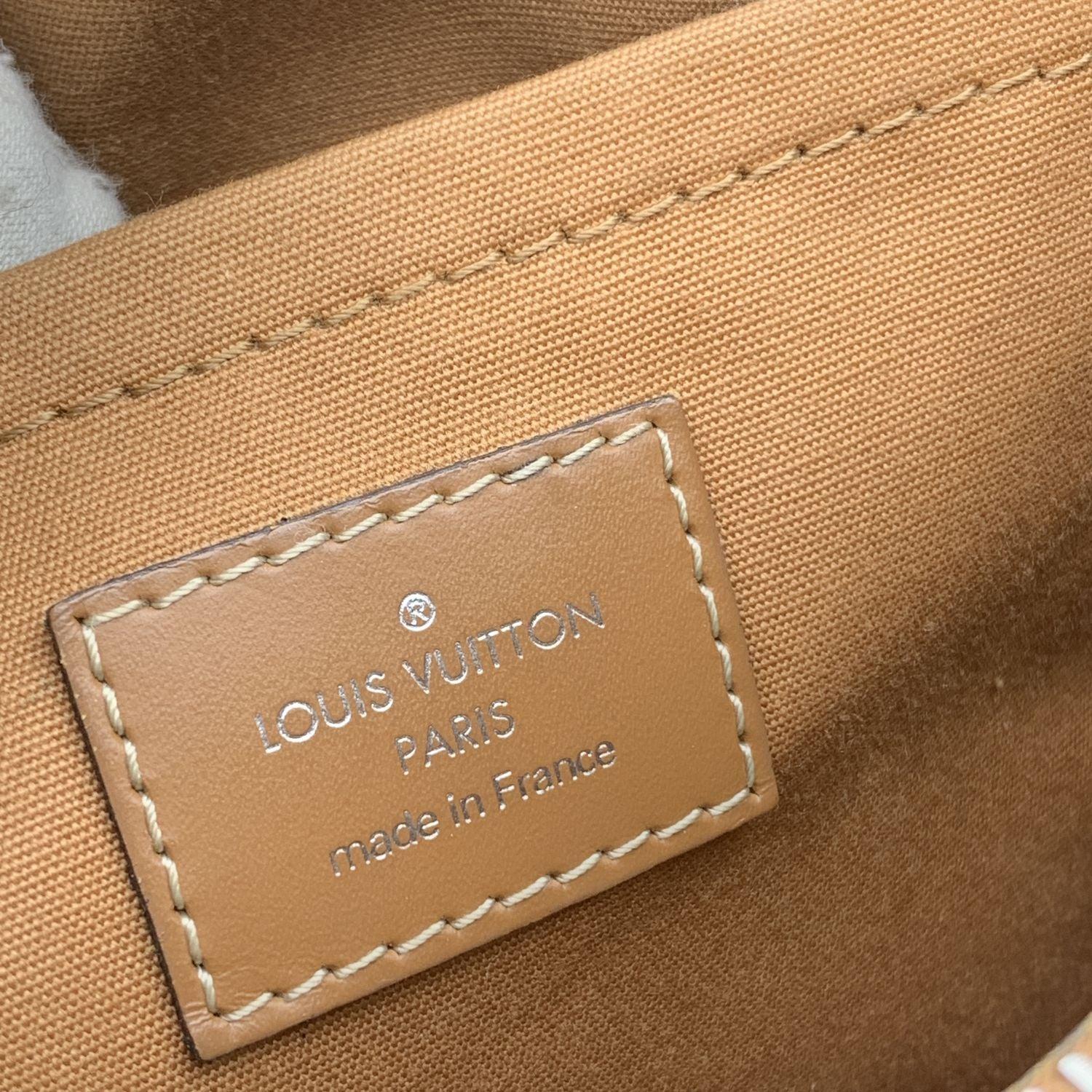 Louis Vuitton Light Brown Epi Leather Passy PM Bag Satchel 1