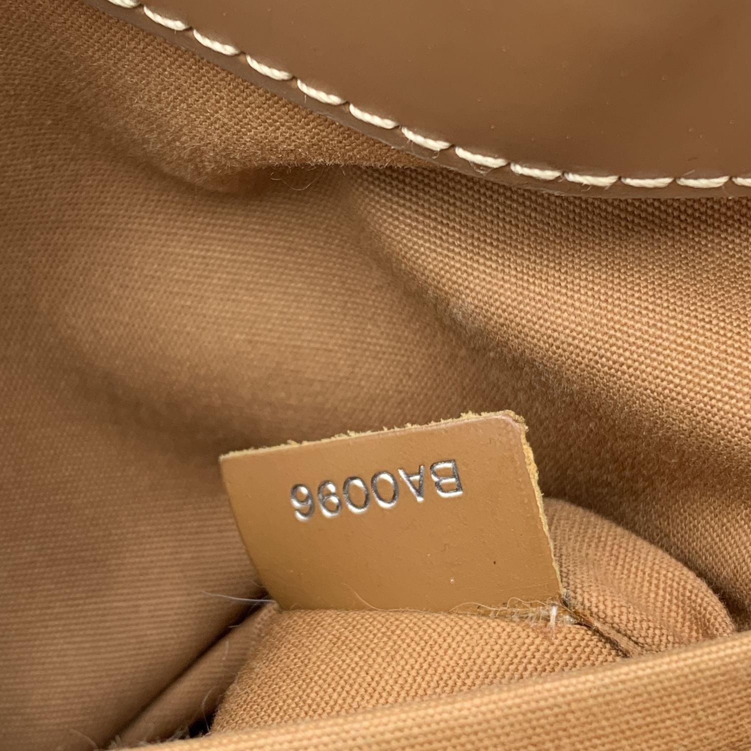 Louis Vuitton Light Brown Epi Leather Passy PM Bag Satchel 4