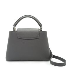 Louis Vuitton Limited Ed Grey Taurillon Leather Capucines BB Flower Studs