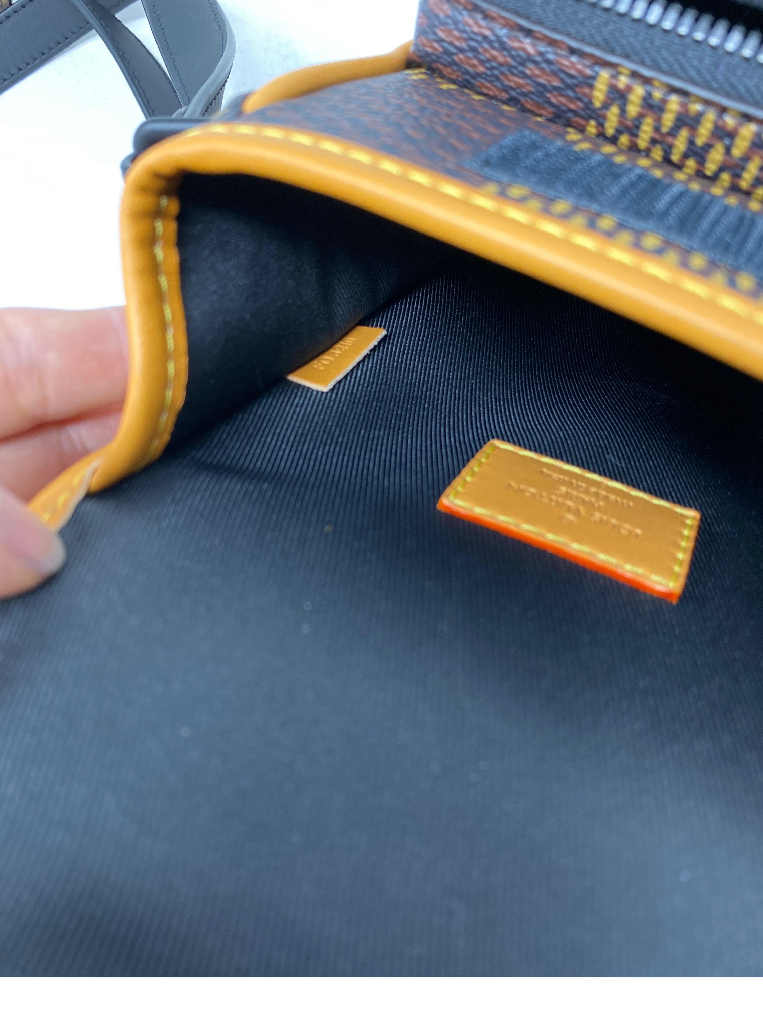 Louis Vuitton Limited Edition Crossbody Bag 11