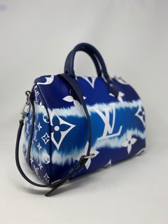 Louis Vuitton Limited Edition Escale Speedy