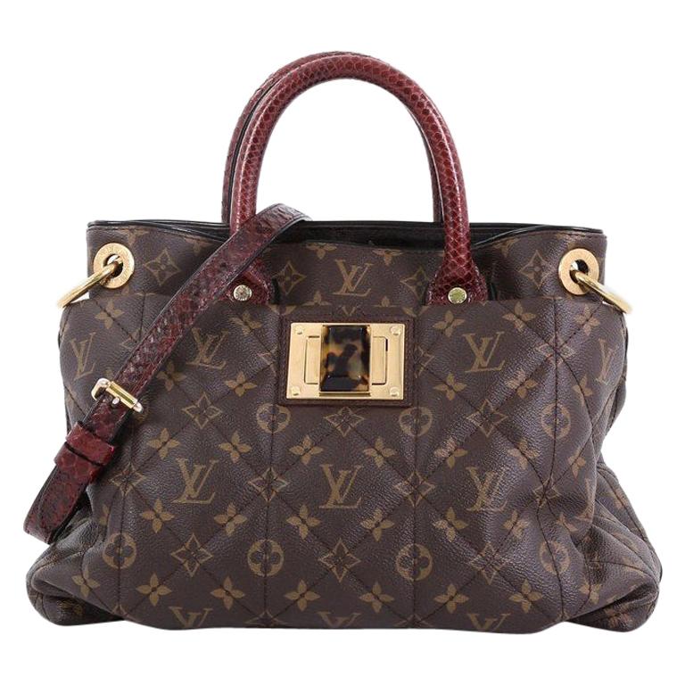 Best Limited Edition Louis Vuitton Bags Under Literacy Basics