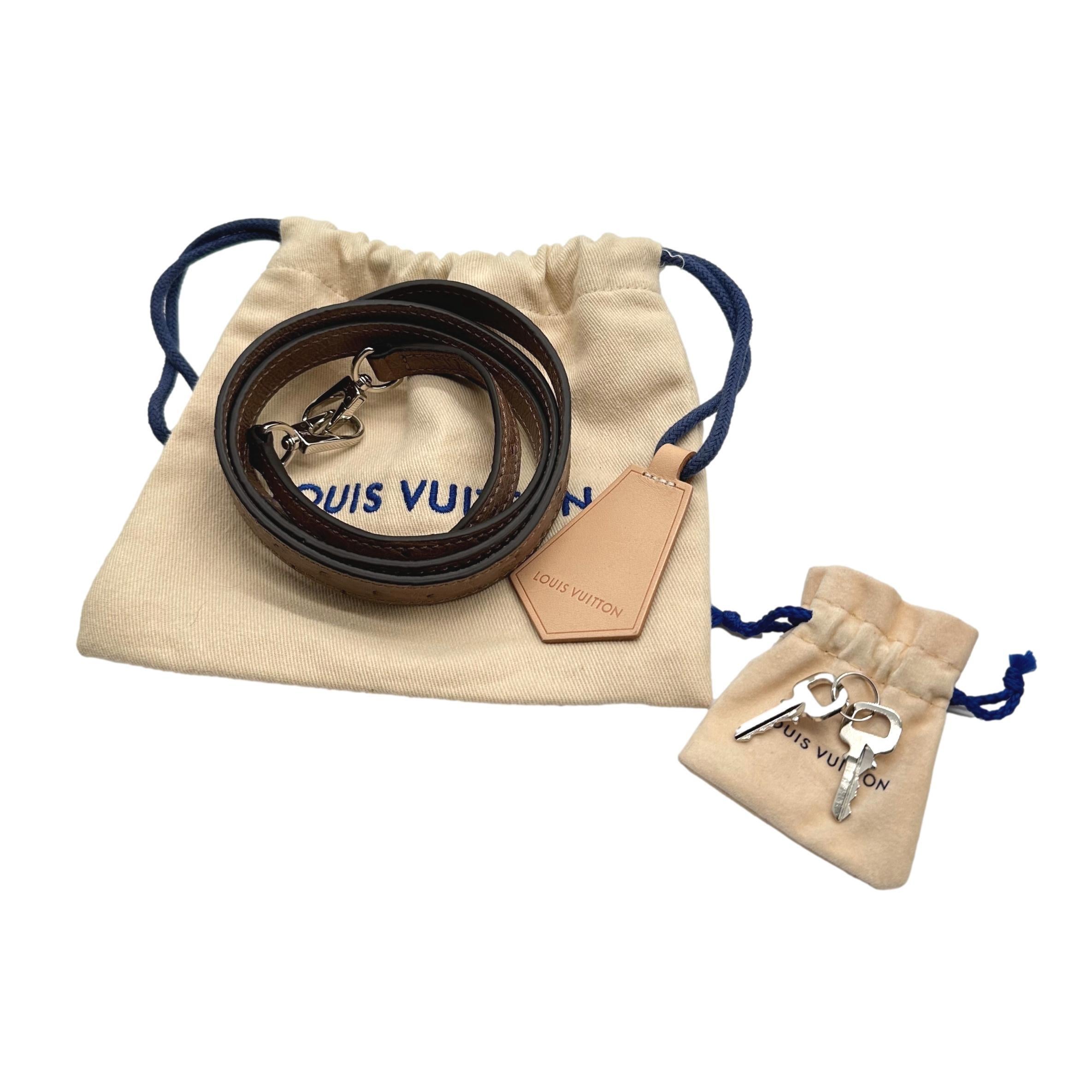 Louis Vuitton Limited Edition Gris Ostrich City Steamer PM Top Handle Bag, 2021. For Sale 9