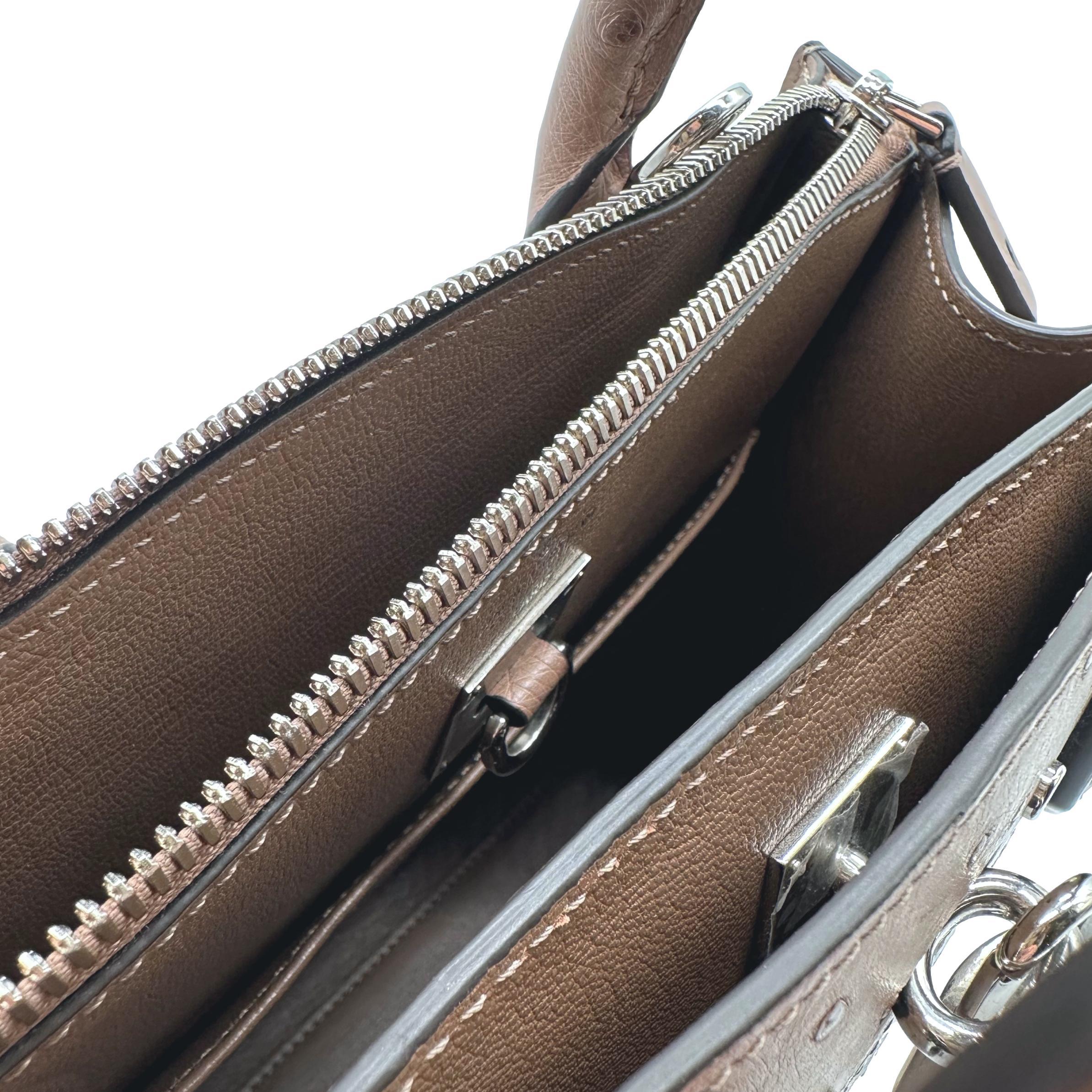 Louis Vuitton Limited Edition Gris Ostrich City Steamer PM Top Handle Bag, 2021. For Sale 4