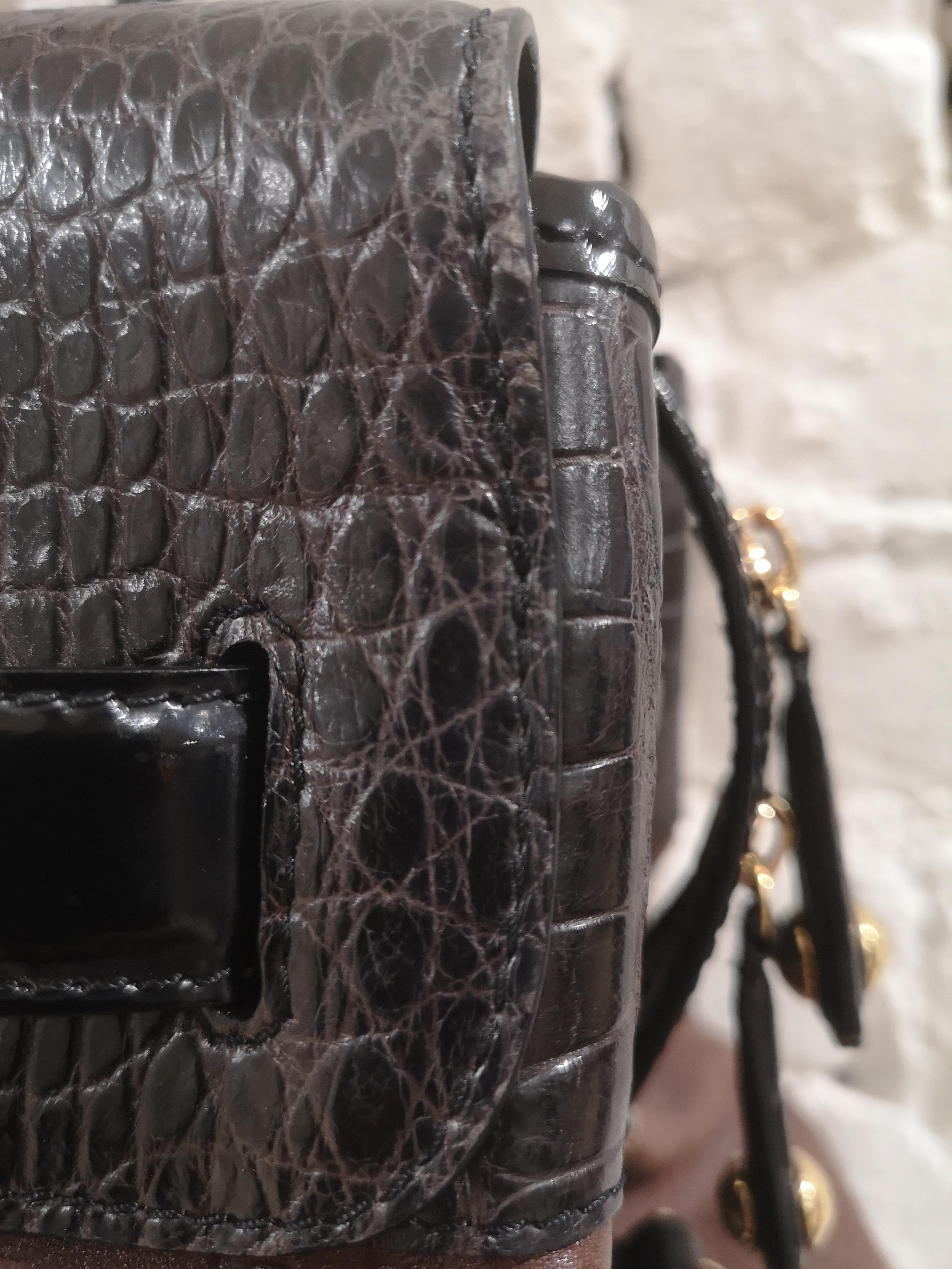 Louis Vuitton Limited Edition Les Extraordinaire alligator handle shoulder bag 3