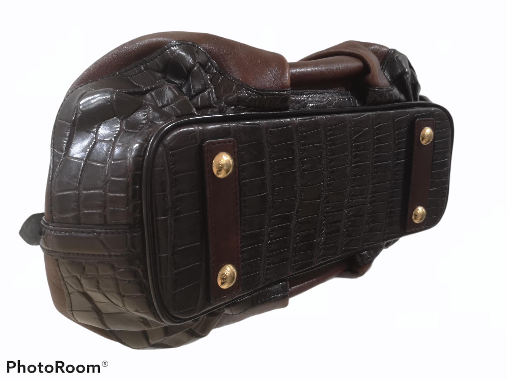 Louis Vuitton Limited Edition Les Extraordinaire alligator handle shoulder bag 10