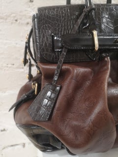 Louis Vuitton Limited Edition Les Extraordinaire alligator handle shoulder bag