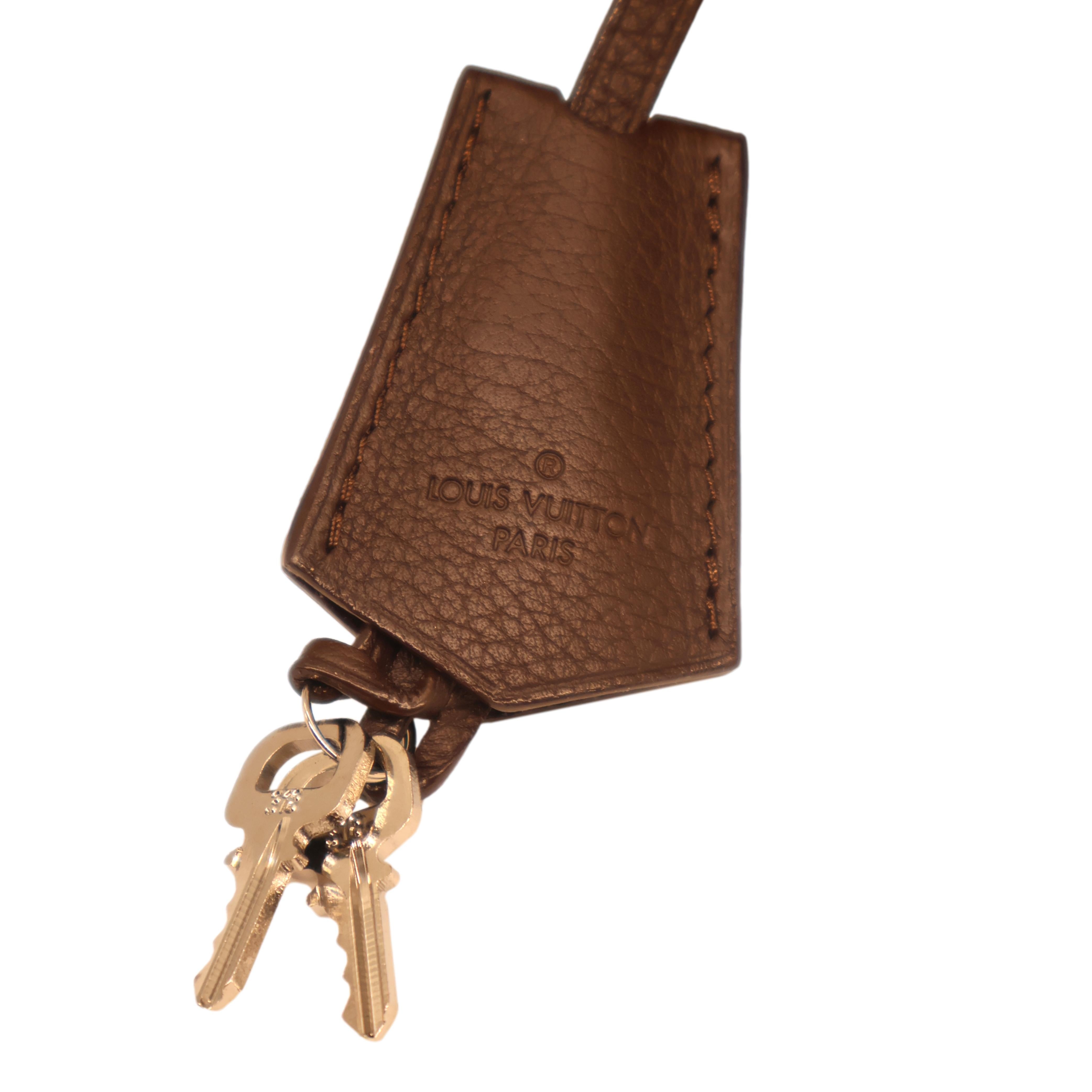 Louis Vuitton Edizione limitata in pelle Monogram Marron Rivelazione Neo Papillon PM in vendita 5