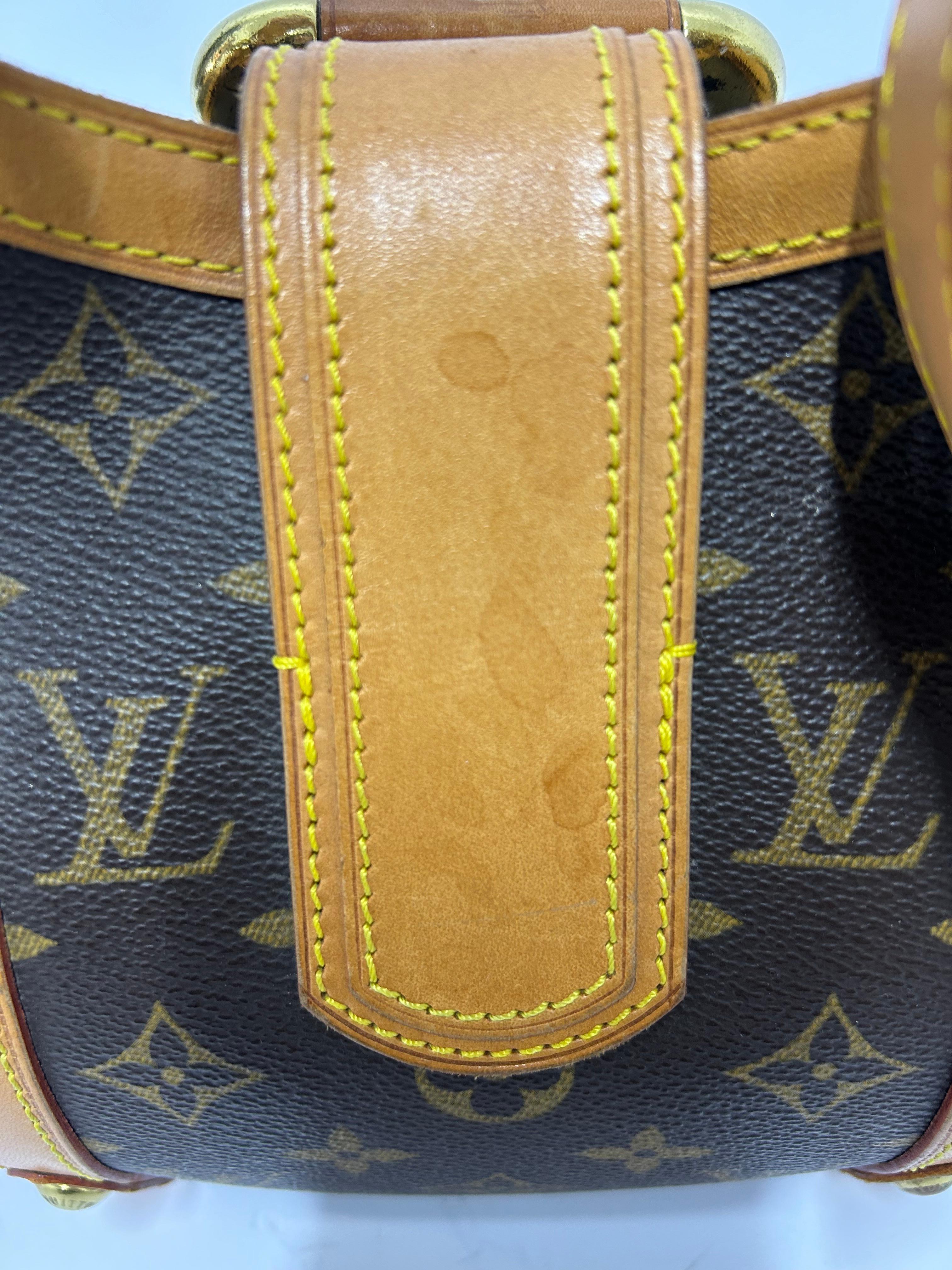 Louis Vuitton Limited Edition Monogramm Canvas Theda PM aus Segeltuch im Angebot 11