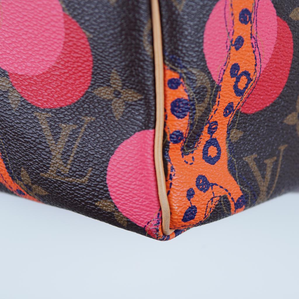 Louis Vuitton Limited Edition Ramages Grenada Speedy 30 bag For Sale 1