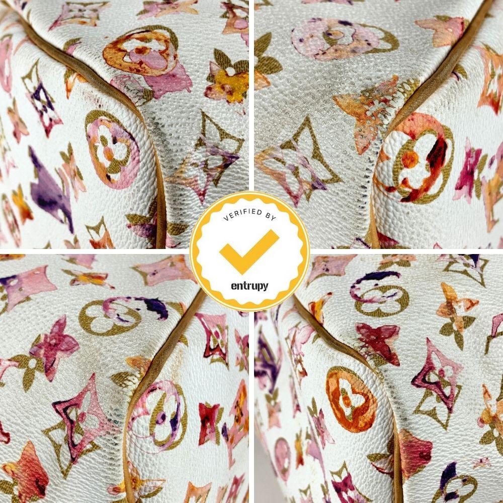 lv watercolor speedy