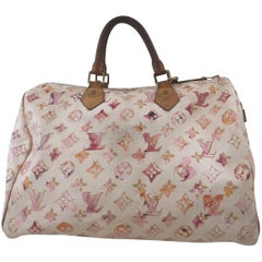 Louis Vuitton Limited Edition Watercolor Speedy