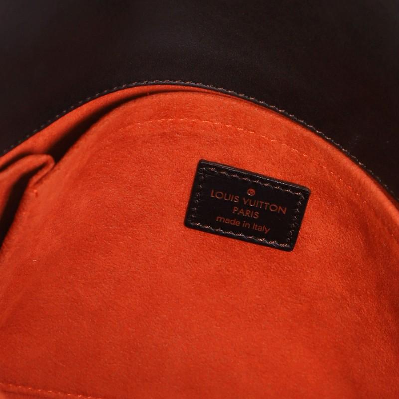 Louis Vuitton Lionne Handbag Damier Sauvage 5