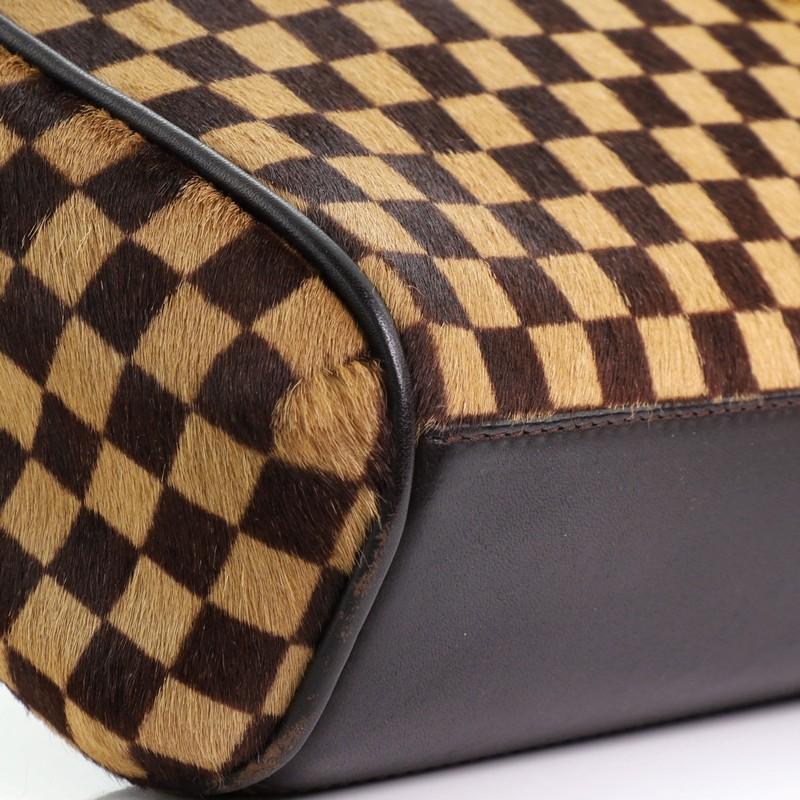 Louis Vuitton Lionne Handbag Damier Sauvage 2
