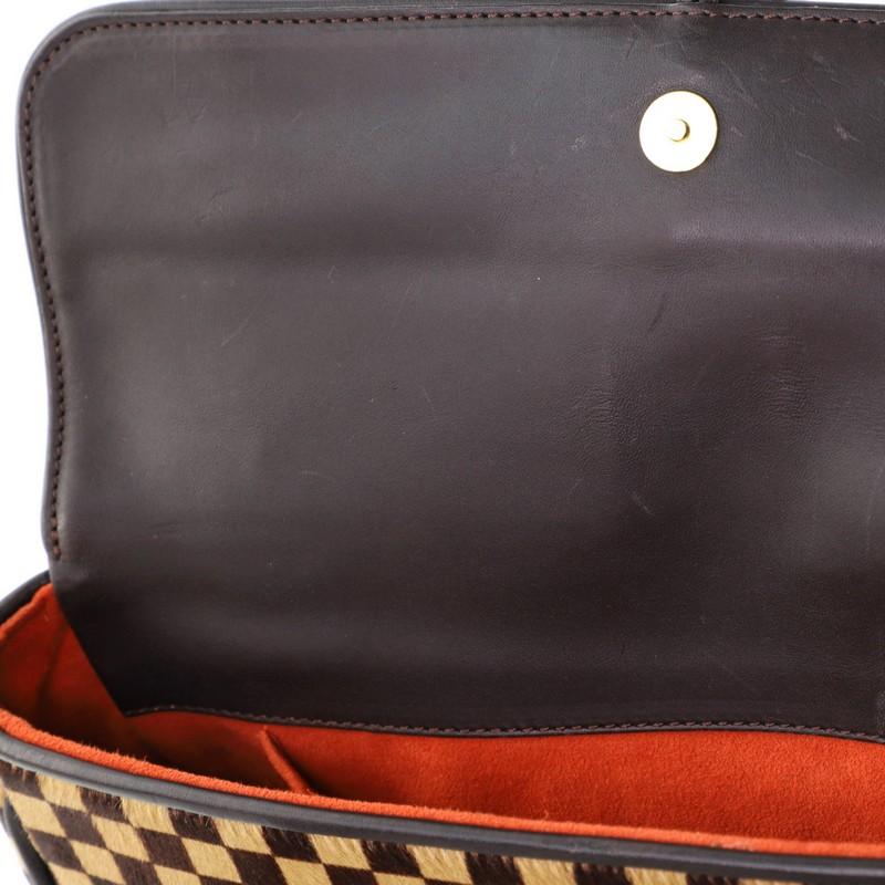 Louis Vuitton Lionne Handbag Damier Sauvage 4