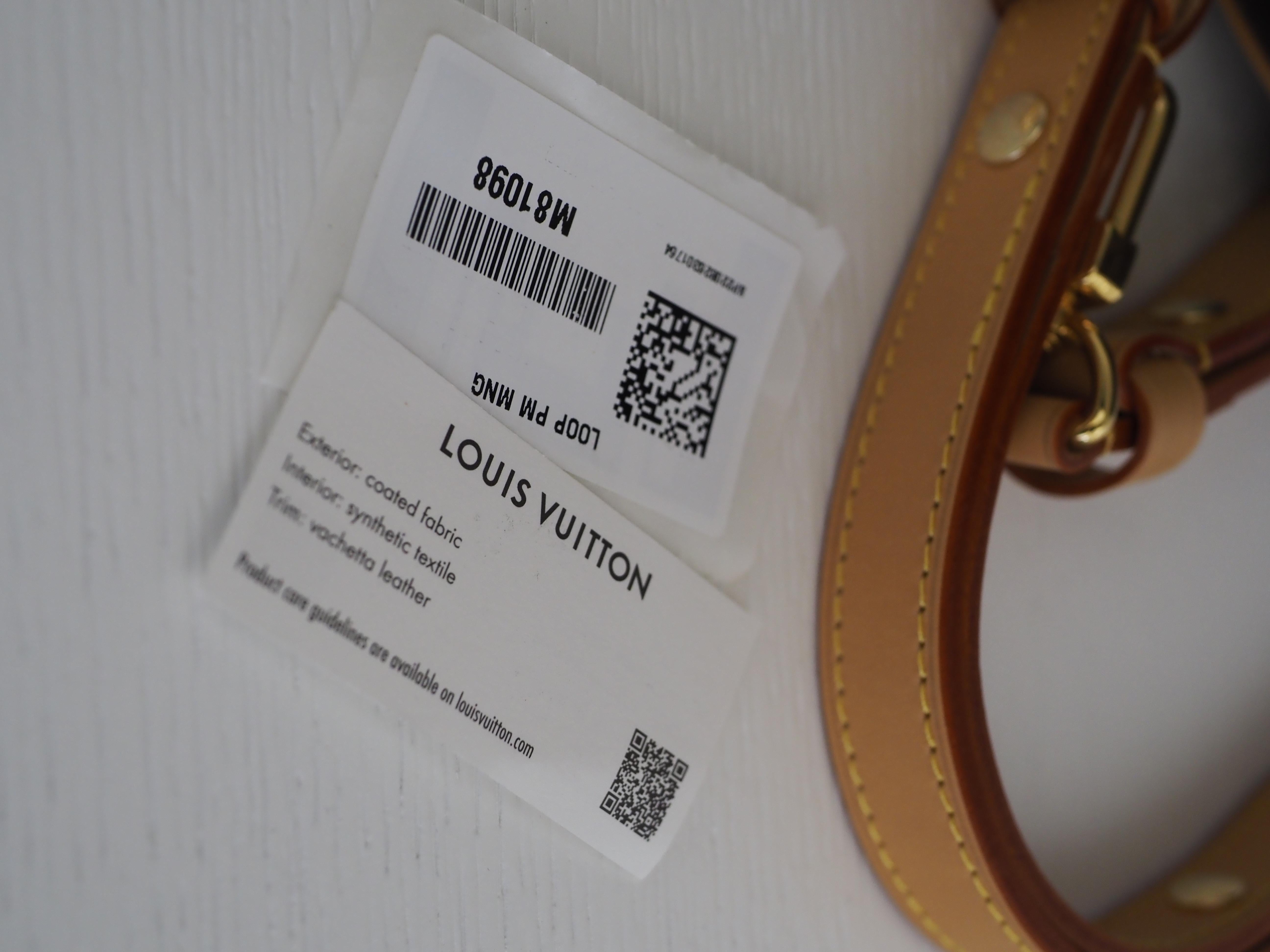 Louis Vuitton Loop baguette handbag shoulder bag NWOT 8