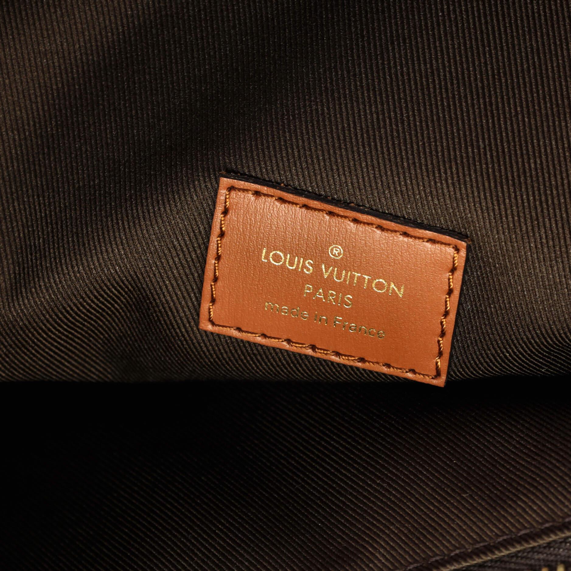 Louis Vuitton Loop Hobo Reverse Monogram Canvas 3