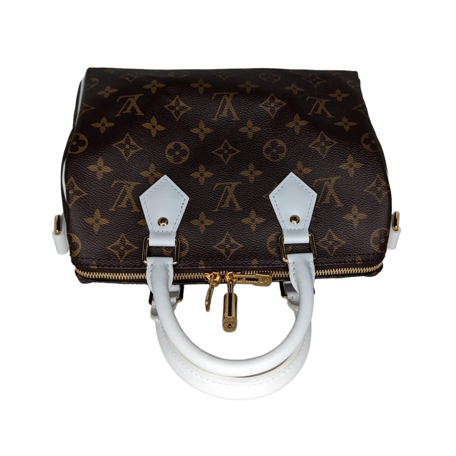 lv bandouliere 25