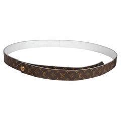 Louis Vuitton LV Pool Party Reversible Belt 46