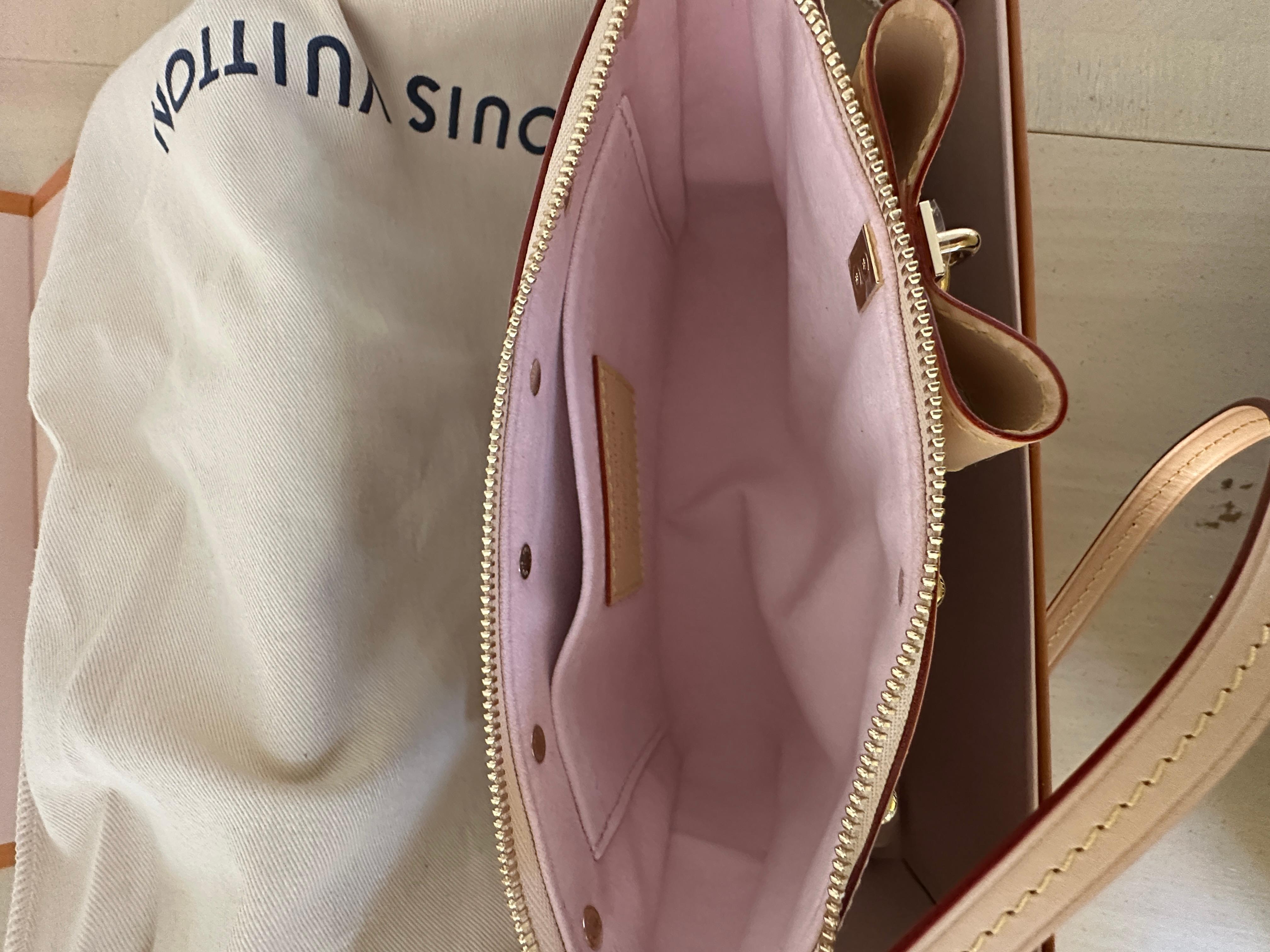 LOUIS VUITTON LV x Takashi Murakami Pochette Accessoires M13666 For Sale 6