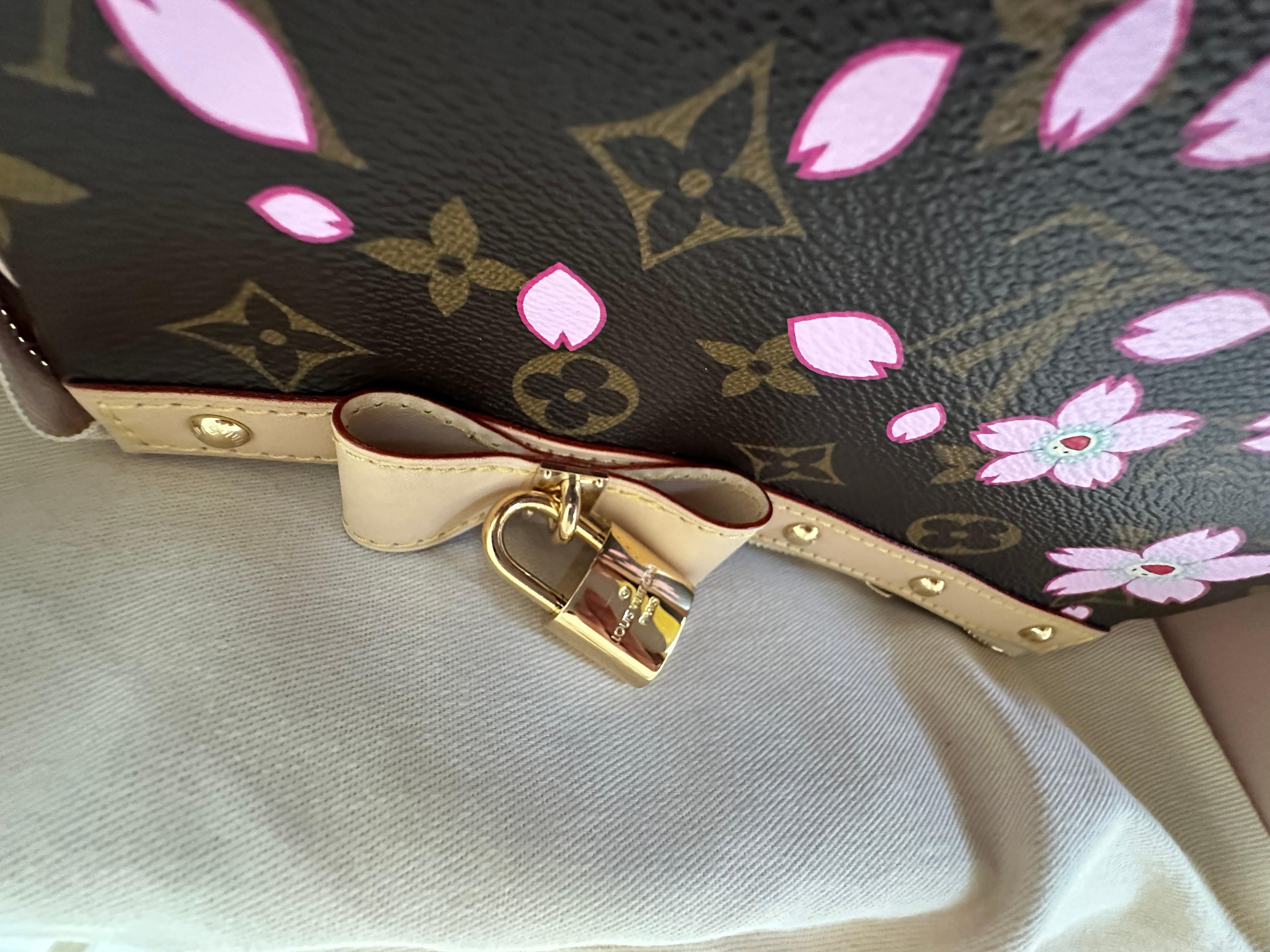 LOUIS VUITTON LV x Takashi Murakami Pochette Accessoires M13666 For Sale 9
