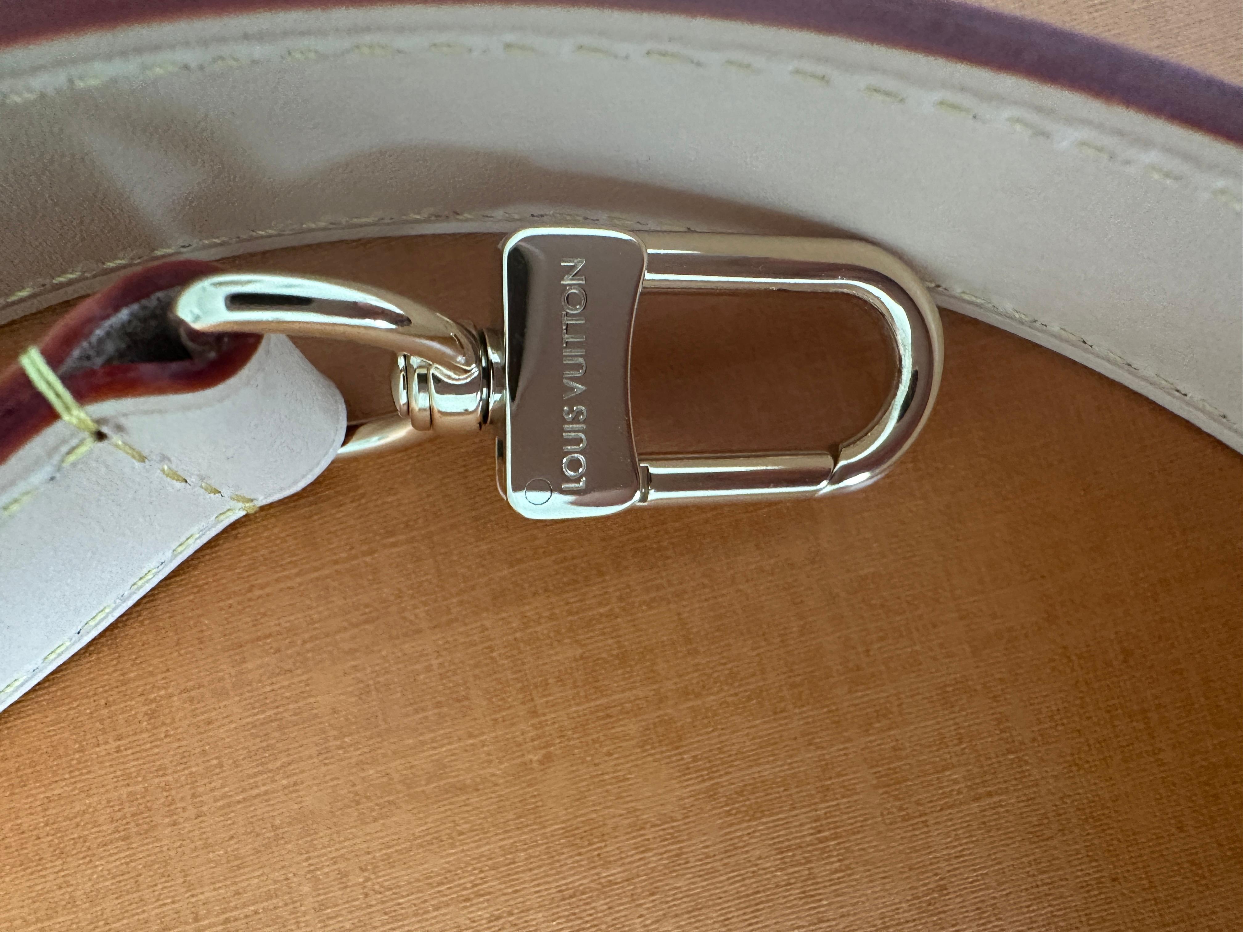 LOUIS VUITTON LV x TM Speedy Bandoulière 25 Kirschblüte Murakami 11