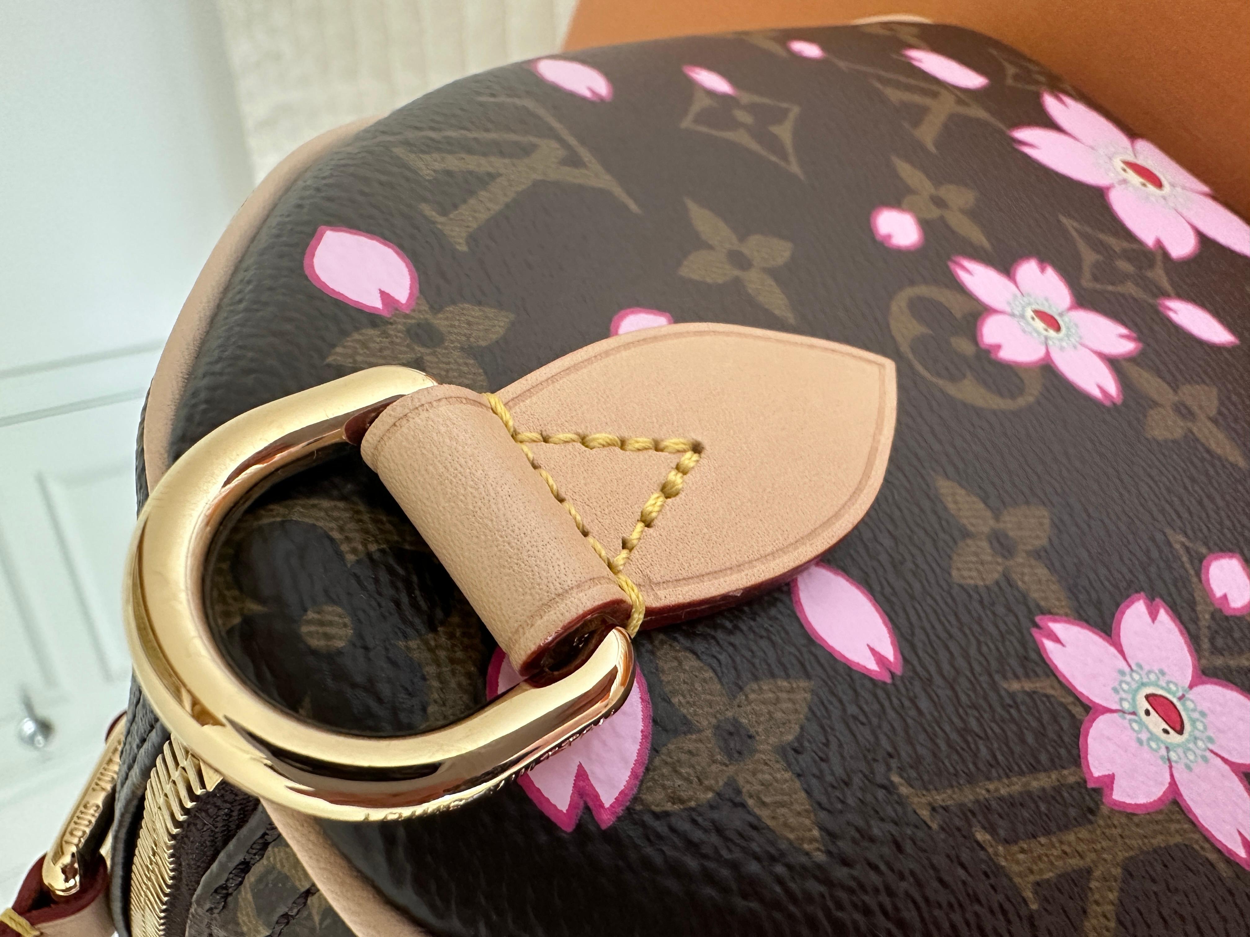 LOUIS VUITTON LV x TM Speedy Bandoulière 25 Kirschblüte Murakami 12