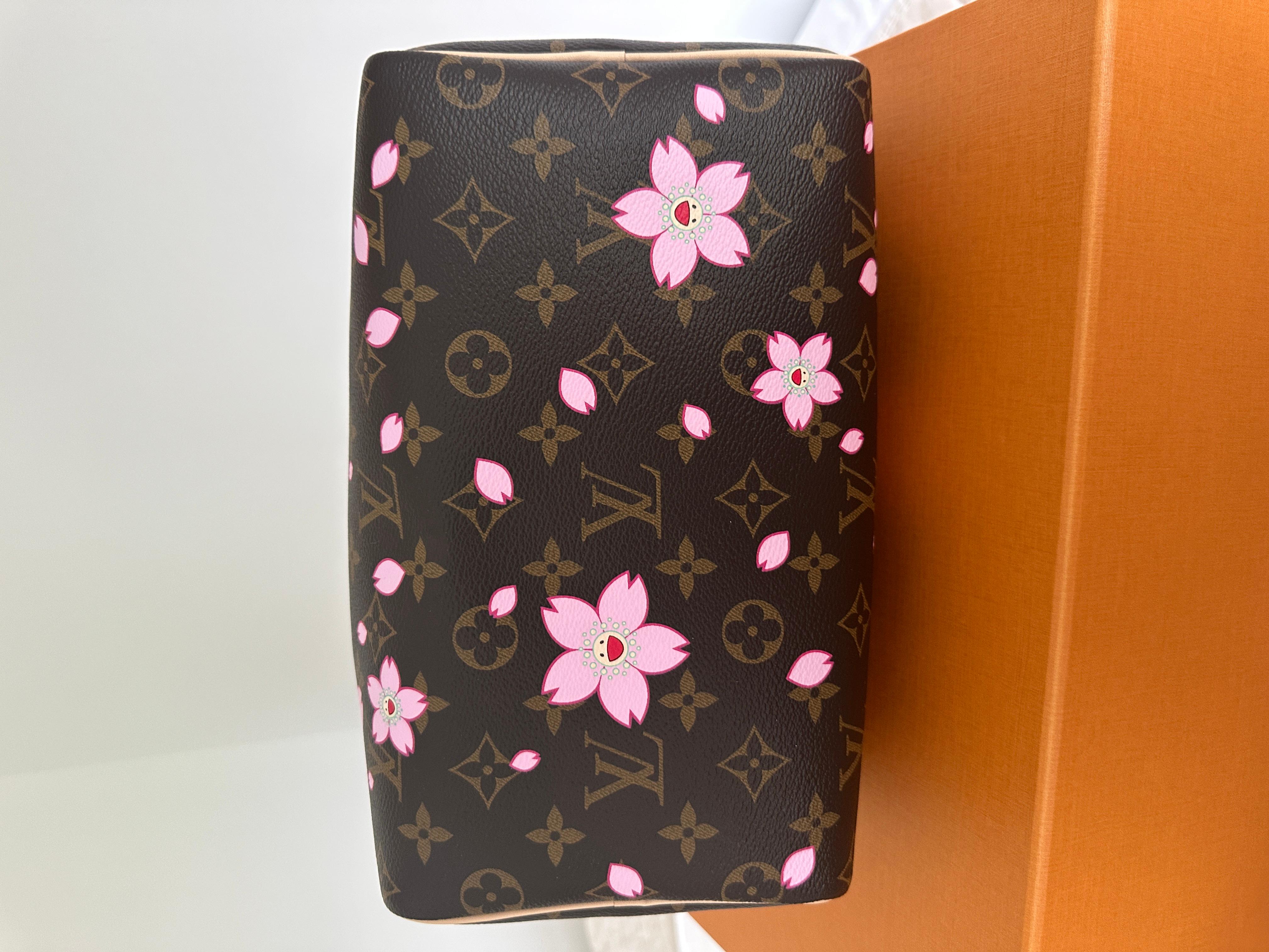 LOUIS VUITTON LV x TM Speedy Bandoulière 25 Kirschblüte Murakami 13