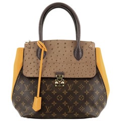 Boîte chapeau souple exotic leathers handbag Louis Vuitton Brown in Exotic  leathers - 24017161