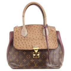 Bolso Louis Vuitton Majestueux Lienzo Monograma y Exóticos PM