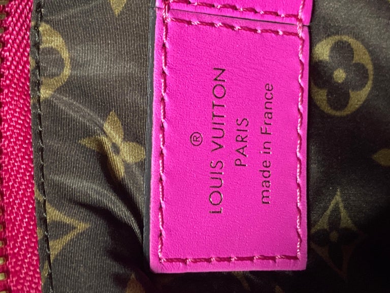 Louis Vuitton Maxi Multi Pochette Accessoires Monogram Quilted Econyl Nylon  at 1stDibs