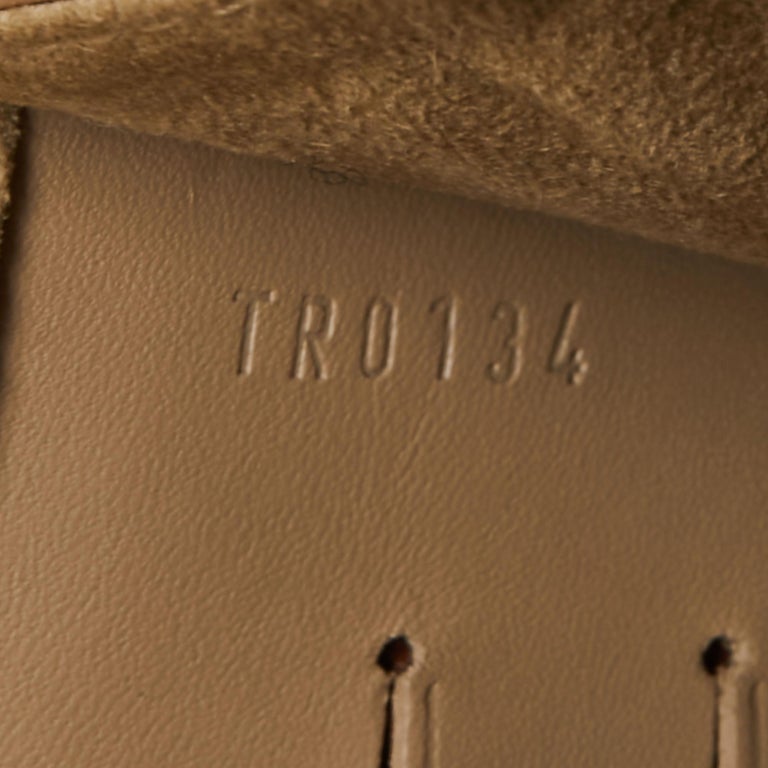 Louis Vuitton Metallic Silver Grained Leather Chain Louise GM NM Clutch Bag  - Yoogi's Closet