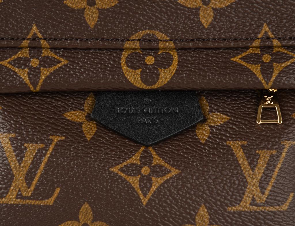 Louis Vuitton Mini Palm Springs Backpack Monogram Bag In New Condition In Miami, FL
