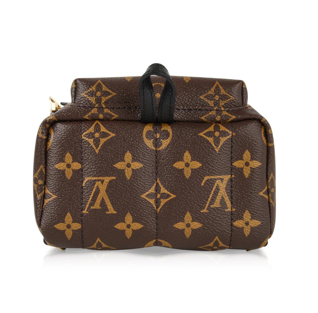 Women's Louis Vuitton Mini Palm Springs Backpack Monogram Bag