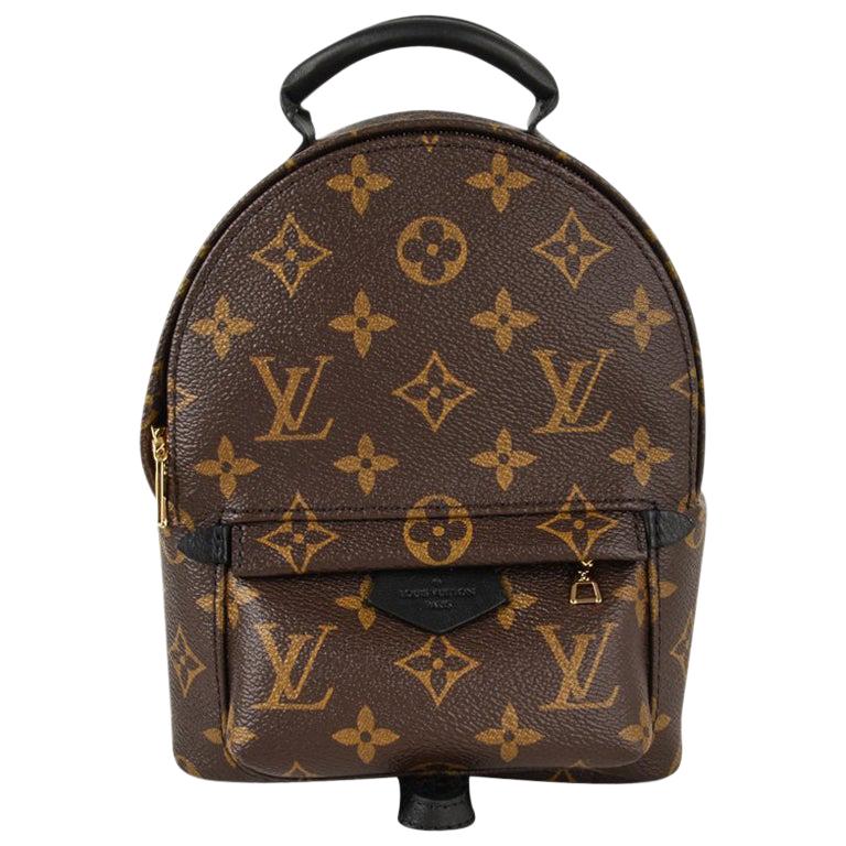 Louis Vuitton Mini Palm Springs Backpack Monogram Bag