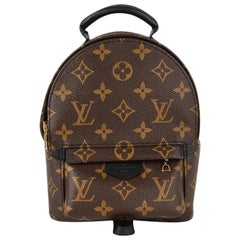 Louis Vuitton Palm Springs Mini Backpack For Sale at 1stDibs